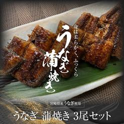 宮崎県産うなぎ　蒲焼き 3尾セット (タレ付き)