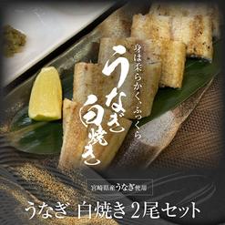 宮崎県産うなぎ　白焼き 2尾セット (タレ付き)