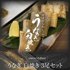 宮崎県産うなぎ　白焼き 3尾セット (タレ付き)