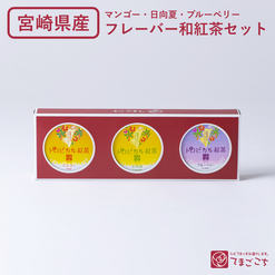 トロピカル紅茶3点セット