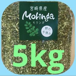 ハーブティー　モリンガ〈宮崎県原産〉無農薬　無化学肥料　自然栽培　朝摘み〈5Kg 真空パック〉